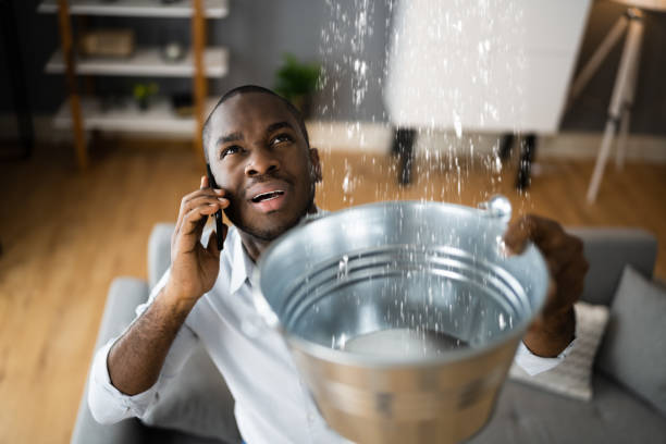 Best Water damage restoration near me  in Saegertown, PA