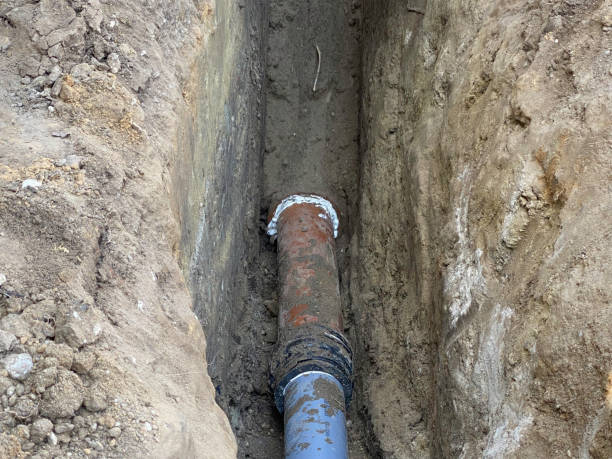 Best Flood damage cleanup  in Saegertown, PA