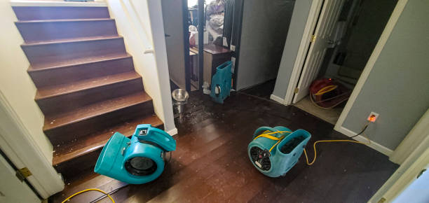 Best 24/7 water damage repair  in Saegertown, PA