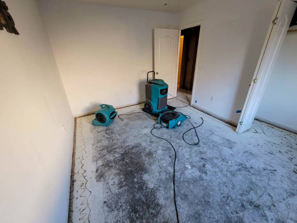 Best Residential water damage restoration  in Saegertown, PA