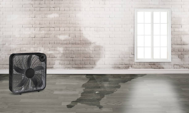 Best Flood restoration services  in Saegertown, PA