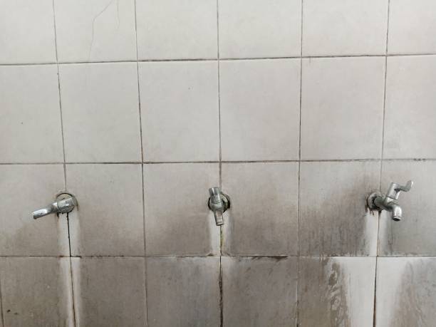 Best Basement water damage restoration  in Saegertown, PA