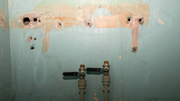 Best Local water damage restoration  in Saegertown, PA