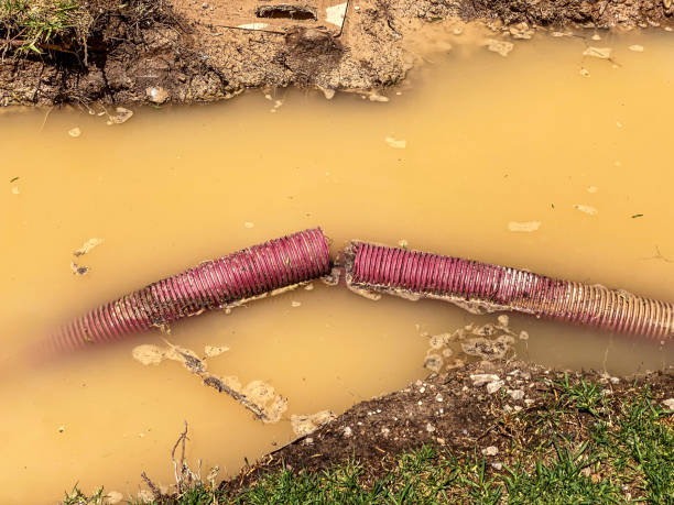 Best Mold removal after water damage  in Saegertown, PA