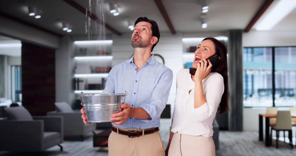 Best Water damage contractors near me  in Saegertown, PA